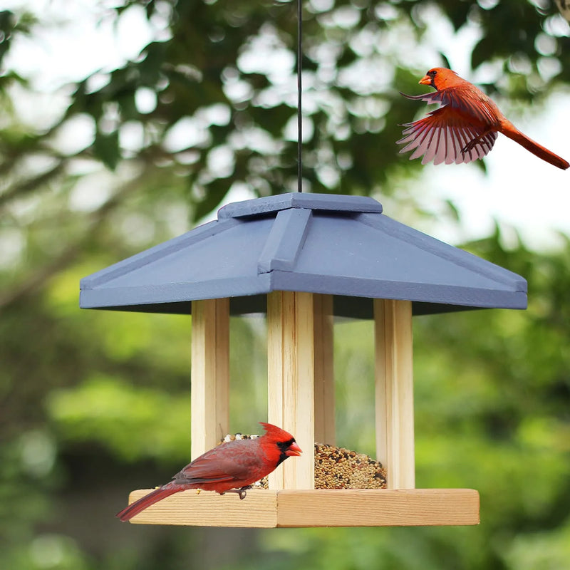 Cedar Alpha 2 Pack Cedar Ranch Feeder,Wild Bird Feeder for Hanging ,Bird Seed for outside Feeders,With Viewing Window, Perfect for Outdoor Garden, Weather Proof ( Red+Gray) Animals & Pet Supplies > Pet Supplies > Bird Supplies > Bird Cage Accessories > Bird Cage Food & Water Dishes CEDAR ALPHA London Bell  