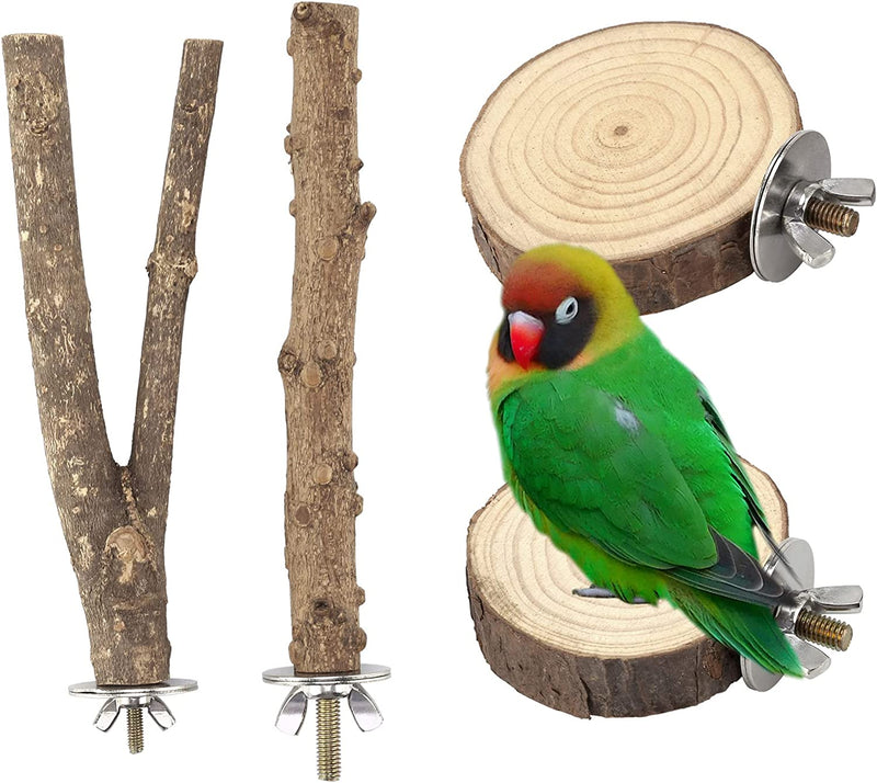Filhome Bird Perch Stand Toy, Natural Wood Parrot Parakeet Branch Perch Bird Cage Platform Accessories for Cockatiels Conures Macaws Finches Love Birds(15Cm YYII) Animals & Pet Supplies > Pet Supplies > Bird Supplies Timwaygo 15CM YIOO  