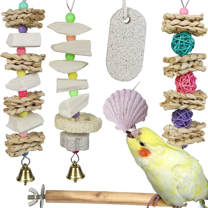 Parrot Chewing Toys (6 Pcs) Natural Cuttlebone Bird Beak Trimmer Grinding Stone Lava Block Calcium Stone Bird Perch Cage Toys for Small and Medium Parakeets, Cockatiels, Conures, Budgies, Lovebirds