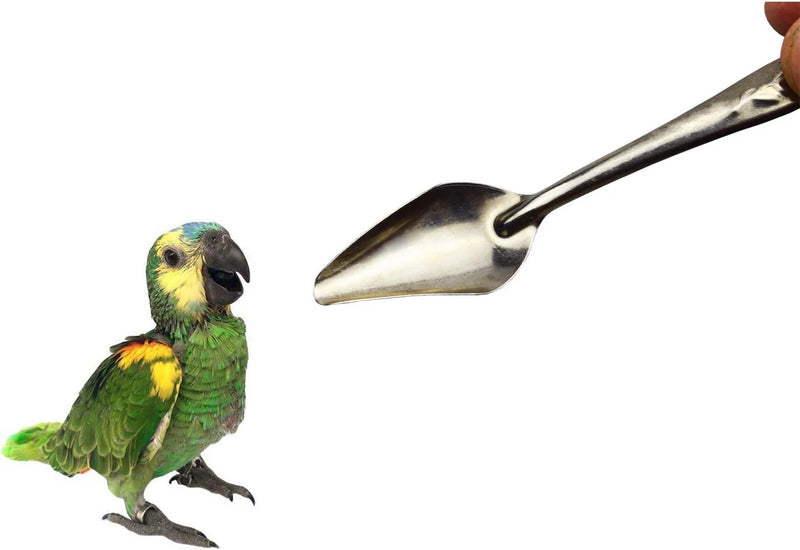 Motanar 4.7" Bird Parrot Stainless Steel Metal Feeding Spoon,Special Feeding Scoop Medicine Spoons Hand Feeding Spoons for Peony Cockatiel Parrot (3 PCS) Animals & Pet Supplies > Pet Supplies > Bird Supplies > Bird Cage Accessories > Bird Cage Food & Water Dishes Motanar   