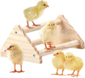 GINTUTO Chicken Perch Strong Pine Wooden Chick Jungle Gym Roosting Bar, Chick Perch Toys for Coop and Brooder for Large Bird Baby Chicks Parrot (Small) Animals & Pet Supplies > Pet Supplies > Bird Supplies GINTUTO Small  