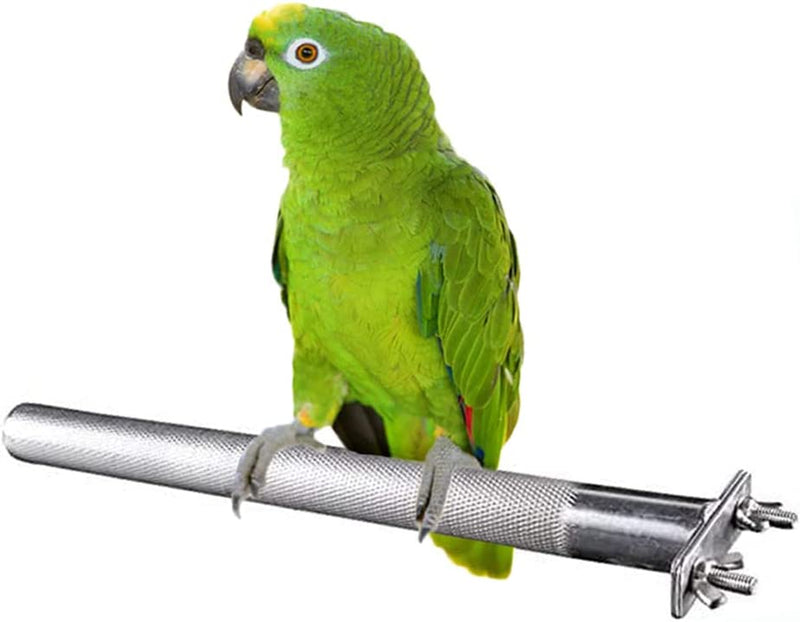 Bird Perch Stainless Steel Stand Parrot Rod Grinding Claws Trimming Beak Nails Grinding Stick Exercise Platform for Parakeet Cockatiel Conure African Grey Macaw Finch Bird Cage Accessories (XL) Animals & Pet Supplies > Pet Supplies > Bird Supplies Litewood L: 11.79x 0.98inch  