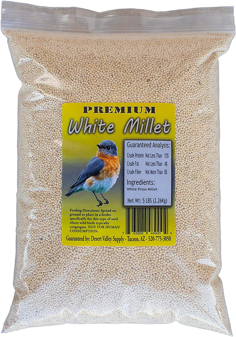 Desert Valley Premium White Millet Proso Seeds - Wild Bird Food, Cardinal, Finch & More (5-Pounds) Animals & Pet Supplies > Pet Supplies > Bird Supplies > Bird Food Desert Valley Supply   