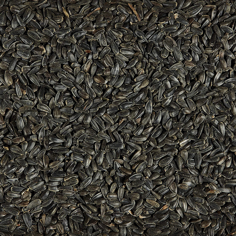 Kaytee Wild Bird Food Black Oil Sunflower - 5 Lb Animals & Pet Supplies > Pet Supplies > Bird Supplies > Bird Food Kaytee   