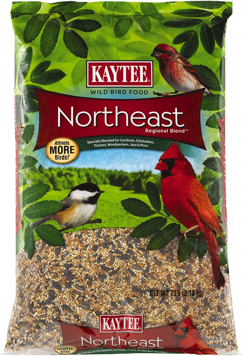 Kaytee Northeast Regional Wild Bird Blend, 7-Pound Bag Animals & Pet Supplies > Pet Supplies > Bird Supplies > Bird Food Central Garden & Pet   