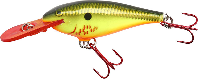 Rapala Shad Rap 05 Fishing Lures Sporting Goods > Outdoor Recreation > Fishing > Fishing Tackle > Fishing Baits & Lures Normark Corporation Bleeding Hot Olive  