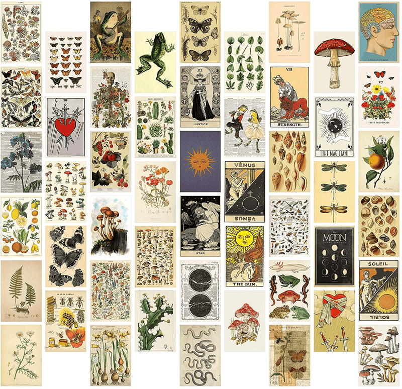 8TEHEVIN 50PCS Vintage Botanical Illustration Tarot Aesthetic Pictures Wall Collage Kit, Trendy Small Poster for Dorm, Vintage Style Art Print Photo Collection, Bedroom Decor for Teens Boys Girls Home & Garden > Decor > Artwork > Posters, Prints, & Visual Artwork 8TEHEVIN Default Title  