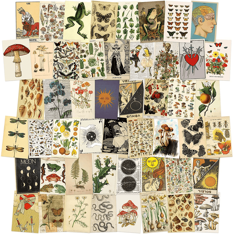8TEHEVIN 50PCS Vintage Botanical Illustration Tarot Aesthetic Pictures Wall Collage Kit, Trendy Small Poster for Dorm, Vintage Style Art Print Photo Collection, Bedroom Decor for Teens Boys Girls Home & Garden > Decor > Artwork > Posters, Prints, & Visual Artwork 8TEHEVIN   