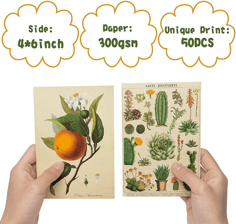 8TEHEVIN 50PCS Vintage Botanical Illustration Tarot Aesthetic Pictures Wall Collage Kit, Trendy Small Poster for Dorm, Vintage Style Art Print Photo Collection, Bedroom Decor for Teens Boys Girls Home & Garden > Decor > Artwork > Posters, Prints, & Visual Artwork 8TEHEVIN   