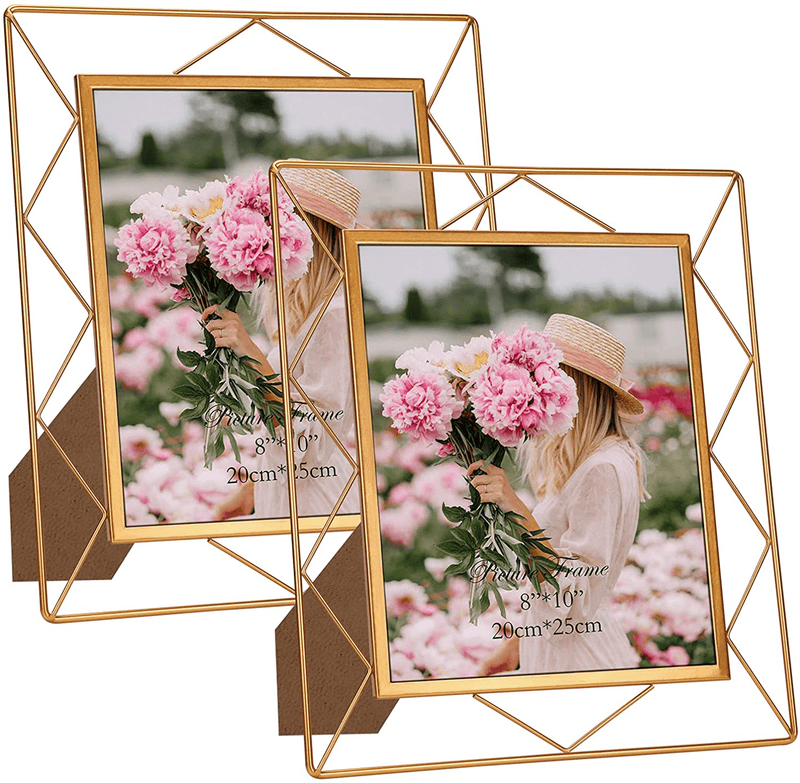 8x10 Picture Frame Set of 2, Metal Frames Fits 8 by 10 Inch Photo Tabletop or Wall Mounting Display