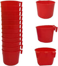 12Pcs Bird Feeder Cage Cups Hanging Chicken Water Cups Pet Bowl with Hooks Rabbit Food Dish for Cages Plastic Feeding & Watering Supplies for Pigeon Poultry Roosters Gamefowl Parakeet (12Pcs-Red) Animals & Pet Supplies > Pet Supplies > Bird Supplies > Bird Cage Accessories > Bird Cage Food & Water Dishes TIANTUTUTEC 12PCS-Red  