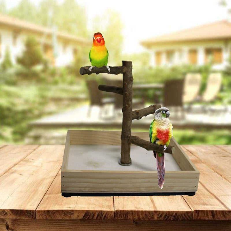 Hamiledyi Bird Perch Stand Tabletop,Parrot Playground Bird Gym Natural Wooden Perch Playstand Platform for Parrots Parakeets Canaries Cockatiels Conure Lovebirds Animals & Pet Supplies > Pet Supplies > Bird Supplies Hamiledyi   
