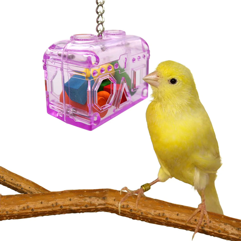 Sweet Feet and Beak Large or Small Treasure Chest - Perfect Bird Cage Toy Colorful, Safe, Easy to Install - Washable, Refillable, Non-Toxic, Foraging Box - Cage Accessories Animals & Pet Supplies > Pet Supplies > Bird Supplies > Bird Toys Sweet Feet and Beak   