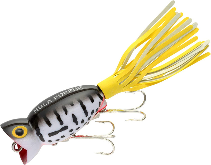 Arbogast Hula Popper Topwater Bass Fishing Lure Sporting Goods > Outdoor Recreation > Fishing > Fishing Tackle > Fishing Baits & Lures Pradco Outdoor Brands Coach Dog Orange Belly 1 3/4", 1/4 oz 