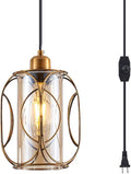 YLONG-ZS Hanging Lamps Swag Lights Plug in Pendant Light with On/Off Switch Wire Caged Hanging Pendant Lamp,Bronze Finish with Amber Glass Inner Shade Home & Garden > Lighting > Lighting Fixtures YLONG-ZS Yl11a-bronze  