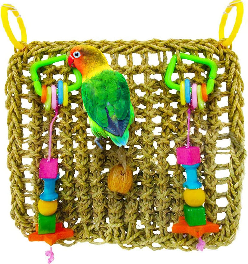 Sungrow Bird, Small Animals & Rabbit Foraging Wall Chew Toy with Hanging Hook, Seagrass Woven Mat with Colorful Wooden Blocks, Grind Teeth Animals & Pet Supplies > Pet Supplies > Bird Supplies > Bird Toys SunGrow   