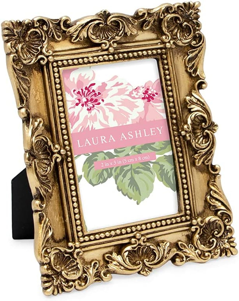Laura Ashley 5X7 Black Ornate Textured Hand-Crafted Resin Picture Frame with Easel & Hook for Tabletop & Wall Display, Decorative Floral Design Home Décor, Photo Gallery, Art, More (5X7, Black) Home & Garden > Decor > Picture Frames Laura Ashley Gold 2x3 
