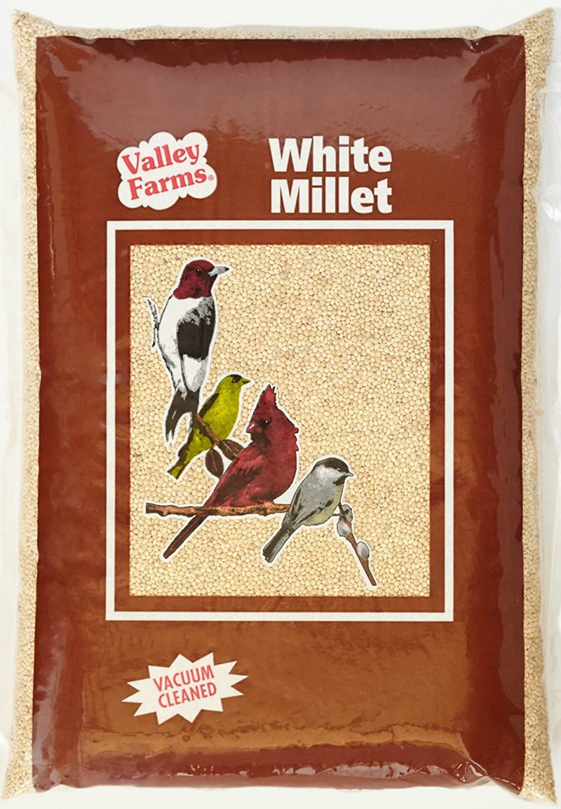 Valley Farms White Millet - Bird Watcher'S Staple Food! (5LB) Animals & Pet Supplies > Pet Supplies > Bird Supplies > Bird Food Truffa Seed Co., Inc. 5 Pound (Pack of 1)  