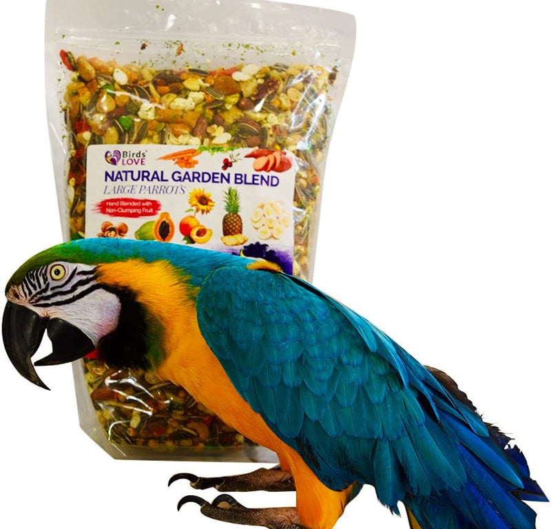 Birds LOVE All Natural Garden Blend Bird Food for Medium Birds - Cockatiels, Green Cheek Conures, Ringneck Parakeets and Small Quakers 2Lb Animals & Pet Supplies > Pet Supplies > Bird Supplies > Bird Food Birds LOVE Large Birds 2 Pound (Pack of 1) 
