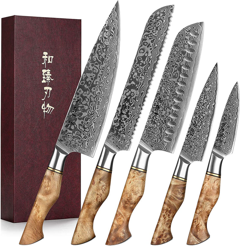 HEZHEN Chef'S Knife-Professional-8.3 Inch Damascus Steel, Kitchen Knife VG10 Gyuto Knife-Master Series Chef Cooking Tool at Home,Restaurant-Figured Sycamore Wood Handle Home & Garden > Kitchen & Dining > Kitchen Tools & Utensils > Kitchen Knives Yangjiangshi Yangdong lansheng e-commerce co.,ltd 5PCS Knife Set  