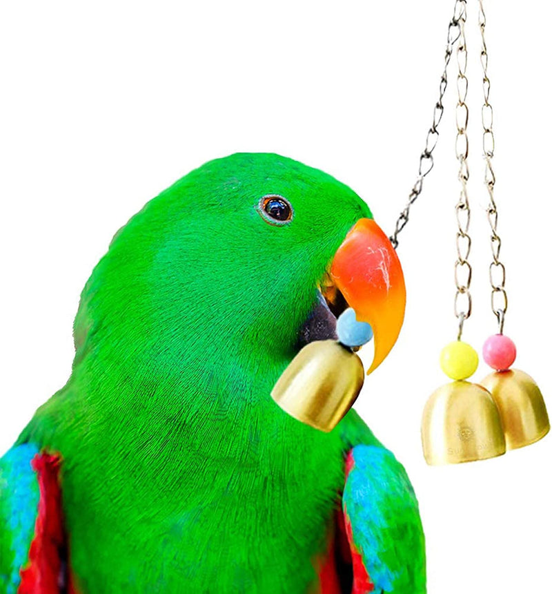 Sungrow Parrot Bell Toy, Galvanized 3 Steel Bells for Cockatiels, Conures, Chicken, Duck & Lovebirds, Jingle Sound (1 Pack) Animals & Pet Supplies > Pet Supplies > Bird Supplies > Bird Toys Luffy Pets Collection   