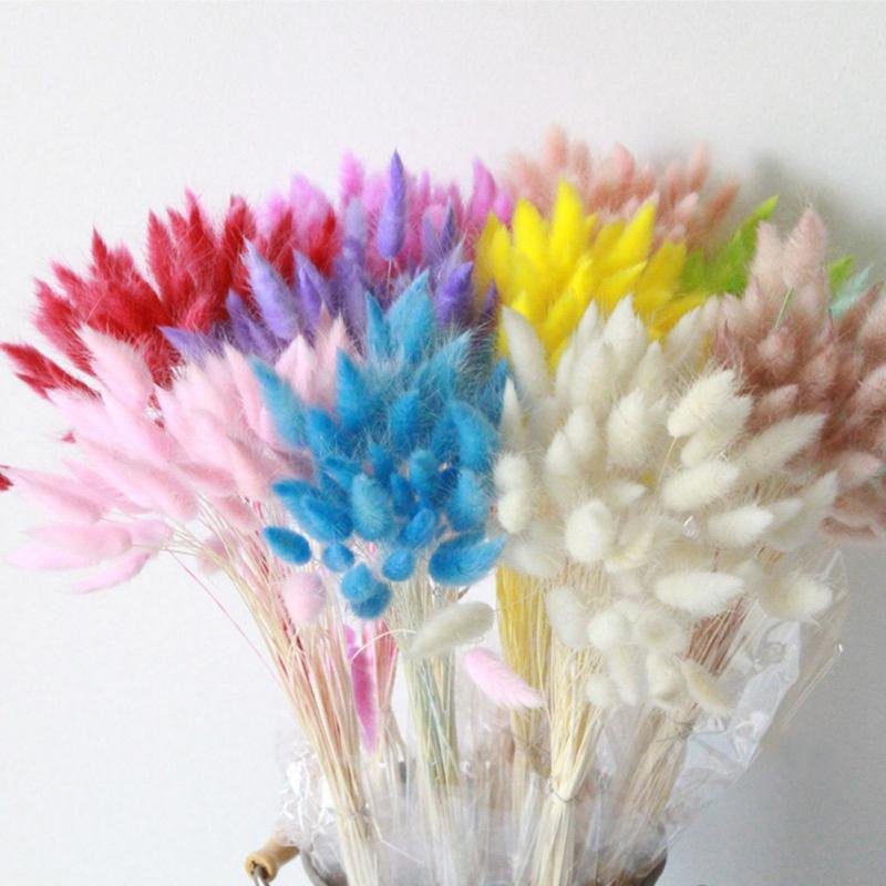 JANDEL 30PCS Natural Rabbit Tail Grass Dried Flower, for Valentine'S Day, Wedding, Household Decorations Festive Party Supplies, Purple Home & Garden > Decor > Seasonal & Holiday Decorations JANDEL   