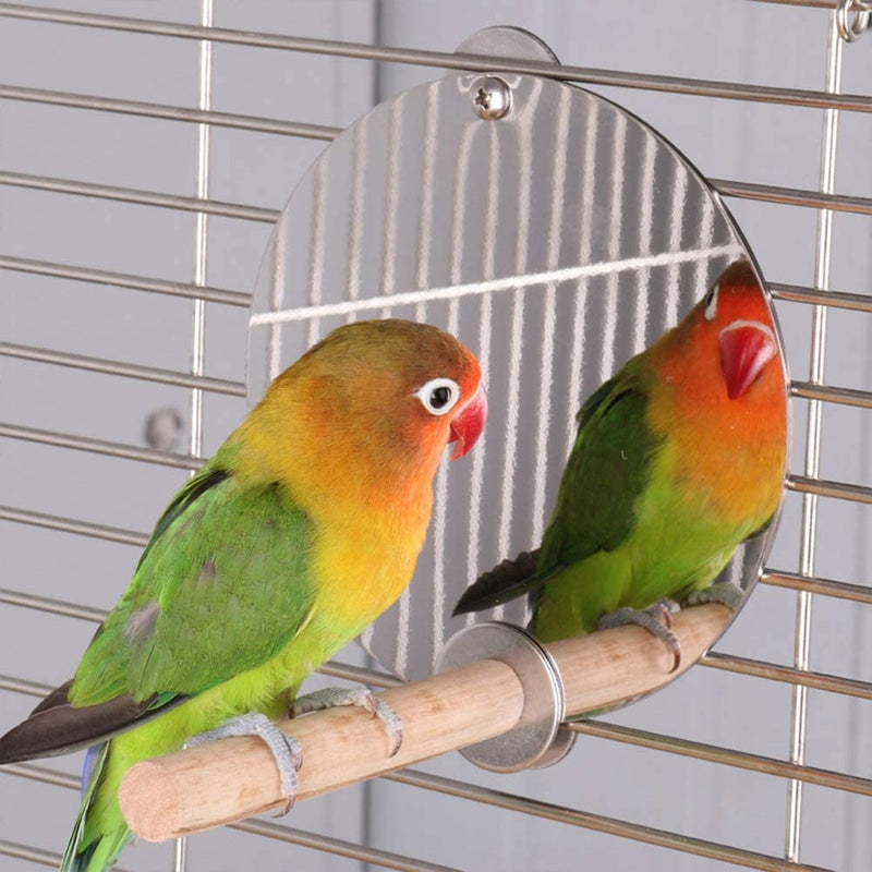 Yuehuamech Bird Stand Perch with Mirror Bird Cage Wooded Standing Rod Pet Parrots Perch Toy Birdcage Accessories for Budgie Parakeet Lovebird African Grey Macaw Animals & Pet Supplies > Pet Supplies > Bird Supplies > Bird Cages & Stands Yuehuamech   