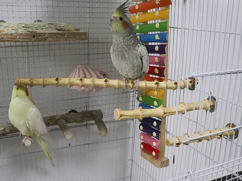 3 Pack Bird Perch Stand, Natural Bamboo Parrot Paw Grinding Toys, Bird Cage Accessories, Bird Paw Grinding for Small Birds Parrots Parakeets Cockatiels Conures Finches Love Birds Animals & Pet Supplies > Pet Supplies > Bird Supplies Jinkoozz   