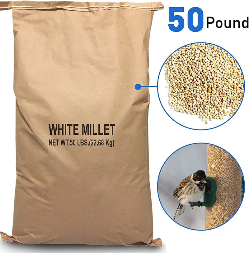 Easygoproducts White Millet Wild Bird Food – 50 Lb, Brown