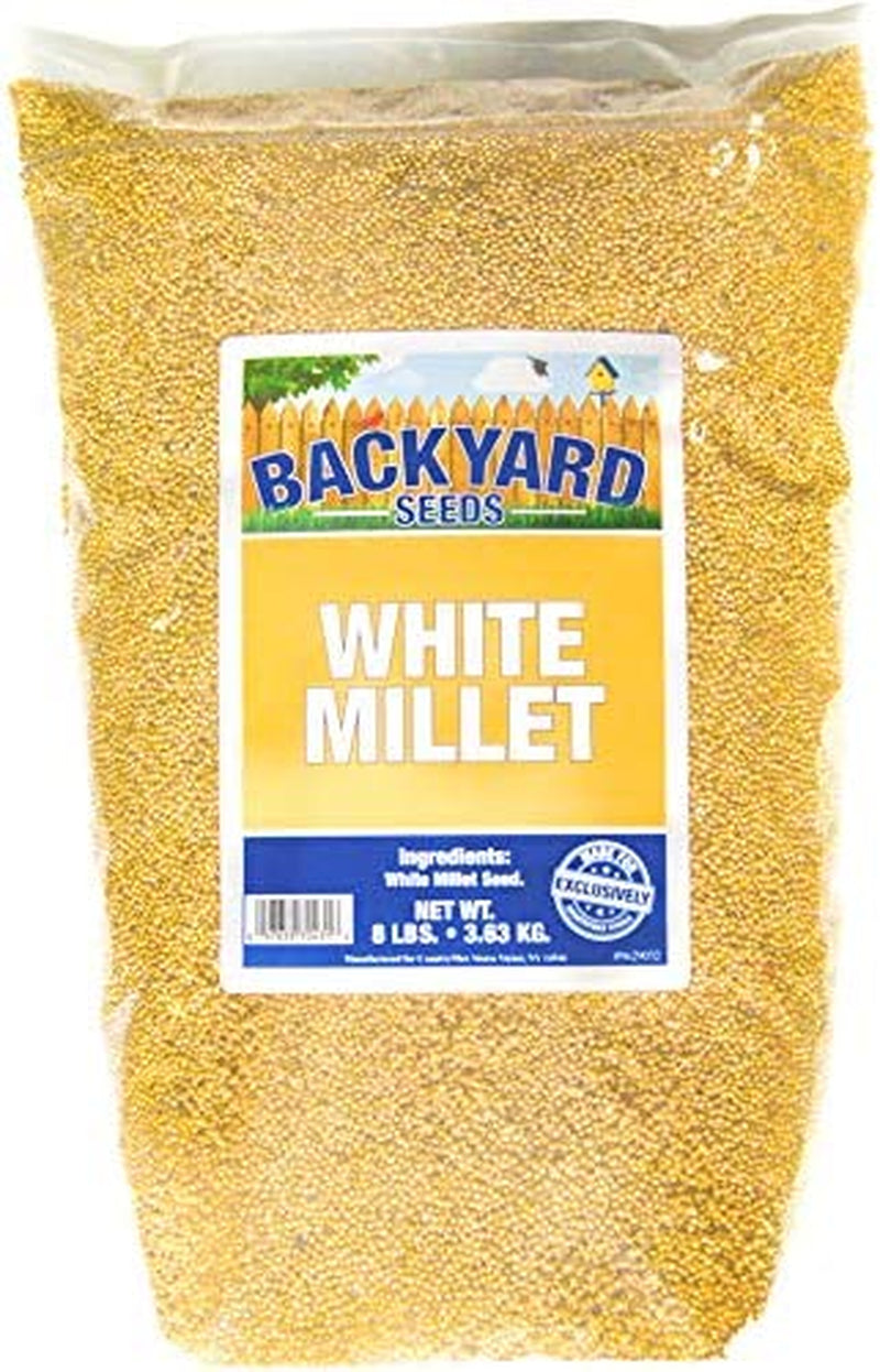 Backyard Seeds White Millet Bird Seed for Finches 8 Pounds (8 Pounds) Animals & Pet Supplies > Pet Supplies > Bird Supplies > Bird Food CountryMax   