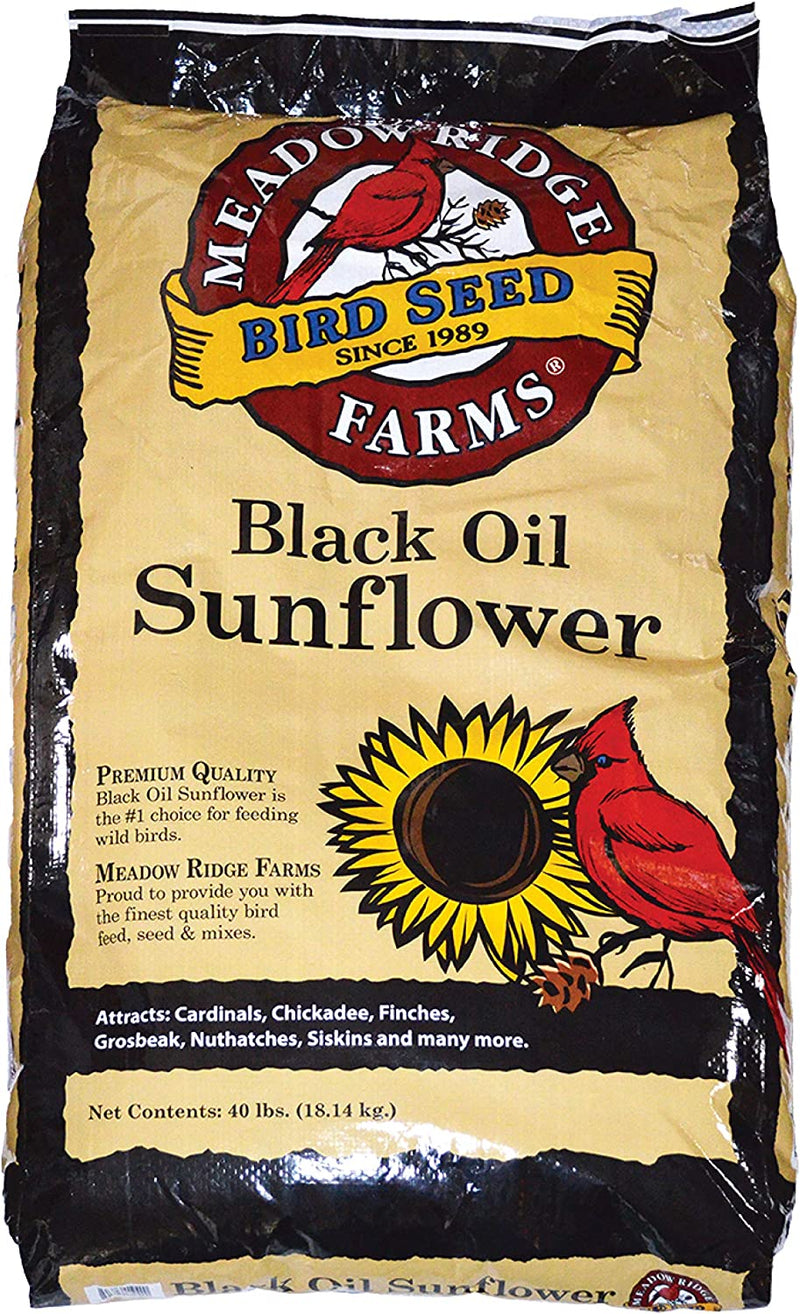Meadow Ridge Farms Black Oil Sunflower Bird Seed, 40-Pound Bag Animals & Pet Supplies > Pet Supplies > Bird Supplies > Bird Food Meadow Ridge Farms 40 Pound (Pack of 1)  
