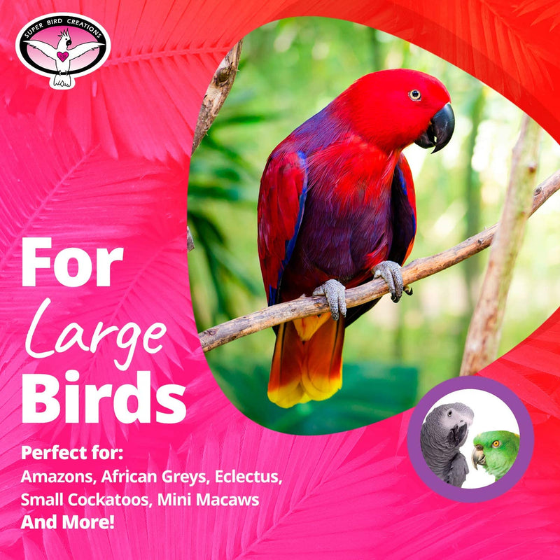 Super Bird Creations SB325 Colorful Cotton Rope Bungee Bird Toy, Large Bird Size, 9/10” Diameter X 96”