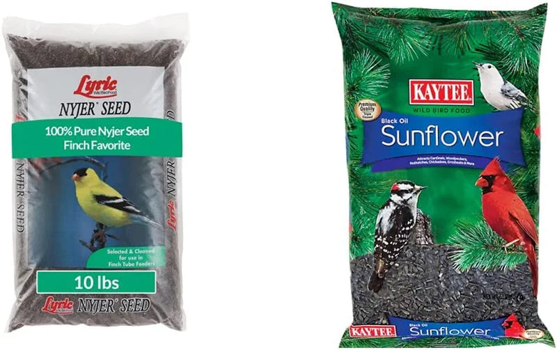 Lyric Nyjer Seed Wild Bird Seed Finch Food Bird Seed, 10 Lb. Bag Animals & Pet Supplies > Pet Supplies > Bird Supplies > Bird Food Lyric Seed + Black Oil Sunflower Food 10 lb 