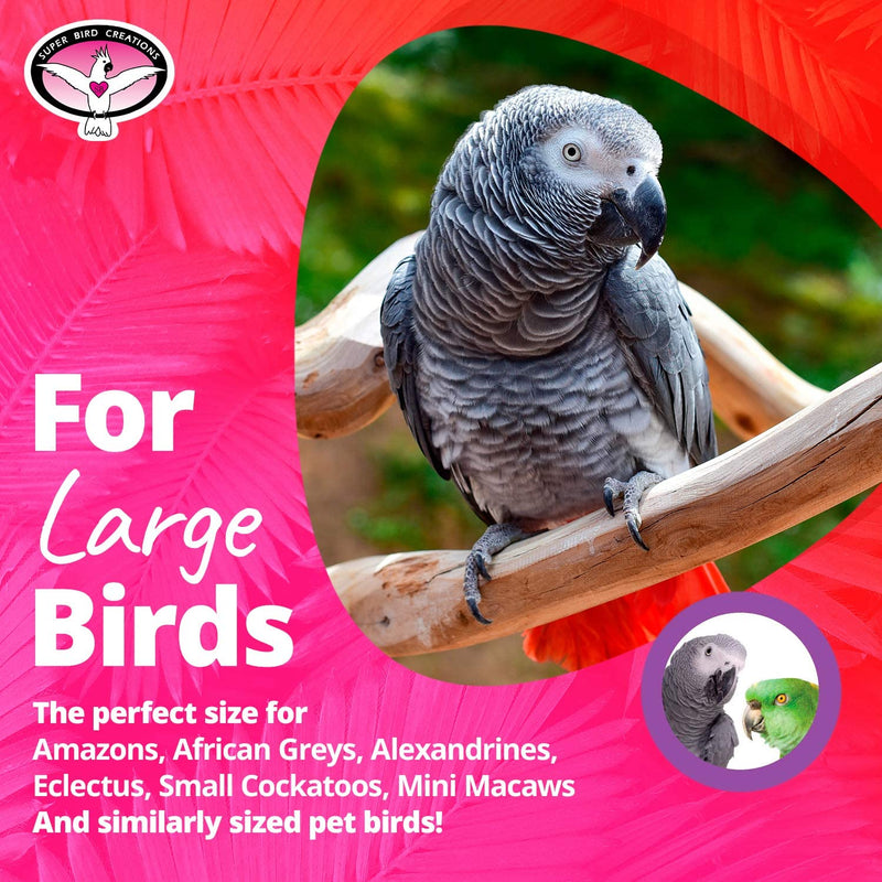 Super Bird Creations SB707 Seagrass Foraging Pouch Bird Toy, Large Bird Size, 14” X 8” X 13” Animals & Pet Supplies > Pet Supplies > Bird Supplies > Bird Toys Super Bird Creations   