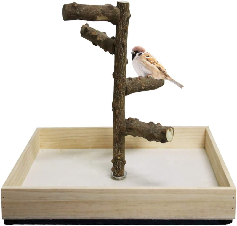 Hamiledyi Bird Perch Stand Tabletop,Parrot Playground Bird Gym Natural Wooden Perch Playstand Platform for Parrots Parakeets Canaries Cockatiels Conure Lovebirds Animals & Pet Supplies > Pet Supplies > Bird Supplies Hamiledyi   