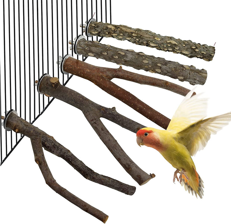 Bird Toys, Parrot Toys Natural Twig Standing Stick 5-Piece Set for Macaws, Budgies, Lovebirds, Finches, Small and Medium-Sized Birds Perching Wood