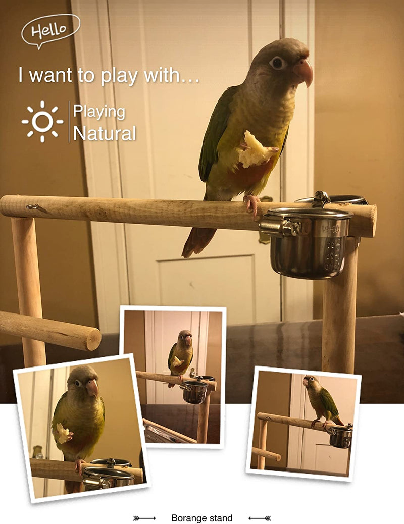 Borangs Parrot Playstand Bird Playground Wood Perch Gym Training Stand Playpen Bird Toys Exercise Playgym for Parakeet Conure Cockatiel Small Birds Cage Accessories Exercise Toy (Include a Tray) Animals & Pet Supplies > Pet Supplies > Bird Supplies Borangs   