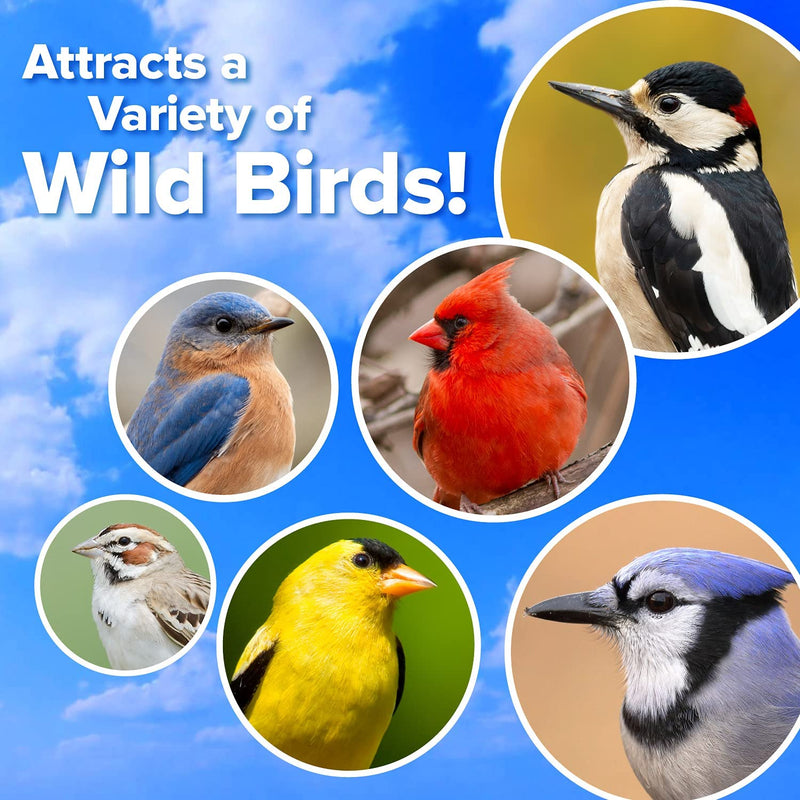 Blue Seal Premium Songbird Treat Wild Bird Bar - Variety 6 Pack Animals & Pet Supplies > Pet Supplies > Bird Supplies > Bird Food Blue Seal   