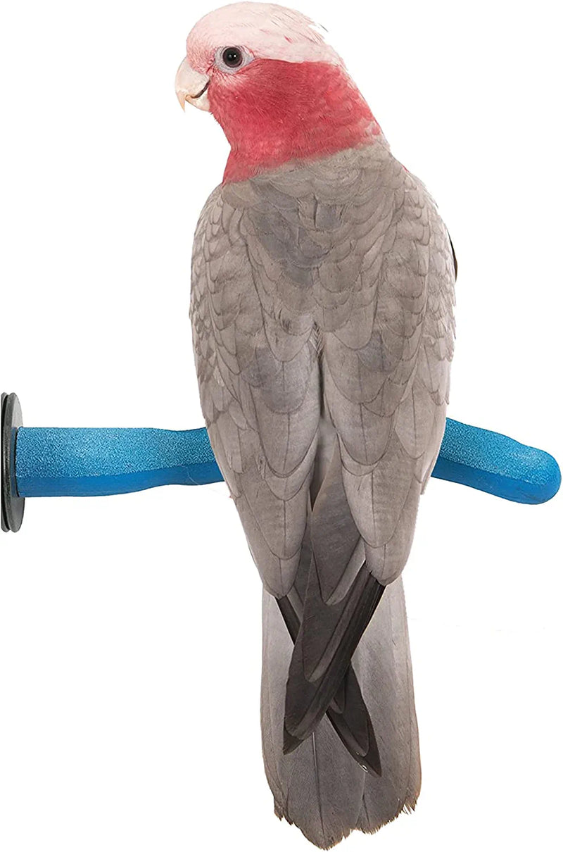 Sweet Feet and Beak Safety Pumice Perch Bird Toy - Trims Nails and Beak - Promotes Healthy Feet - Safe Non-Toxic Bird Supplies for Bird Cages - Medium 10" Animals & Pet Supplies > Pet Supplies > Bird Supplies > Bird Toys Sweet Feet and Beak Blue Medium 12" 