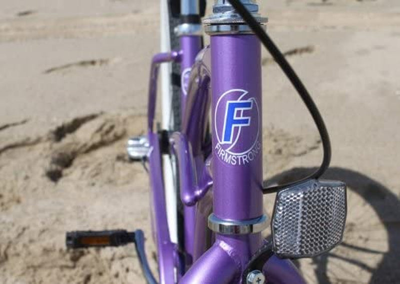 Firmstrong Urban Lady Three Speed Beach Cruiser Bicycle, 26-Inch, Purple