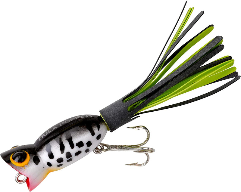 Arbogast Hula Popper Topwater Bass Fishing Lure Sporting Goods > Outdoor Recreation > Fishing > Fishing Tackle > Fishing Baits & Lures Pradco Outdoor Brands Coach Dog 1 3/4", 1/4 oz 