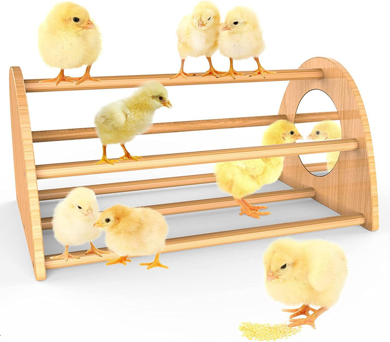 Ensayeer Bamboo Chicken Perch with Mirror, Strong Roosting Bar for Coop and Brooder, Training Perch for Large Bird, Hens, Parrots, Macaw, Easy to Assemble and Clean, Fun Toys for Chicken Animals & Pet Supplies > Pet Supplies > Bird Supplies Ensayeer 16.2 inch  