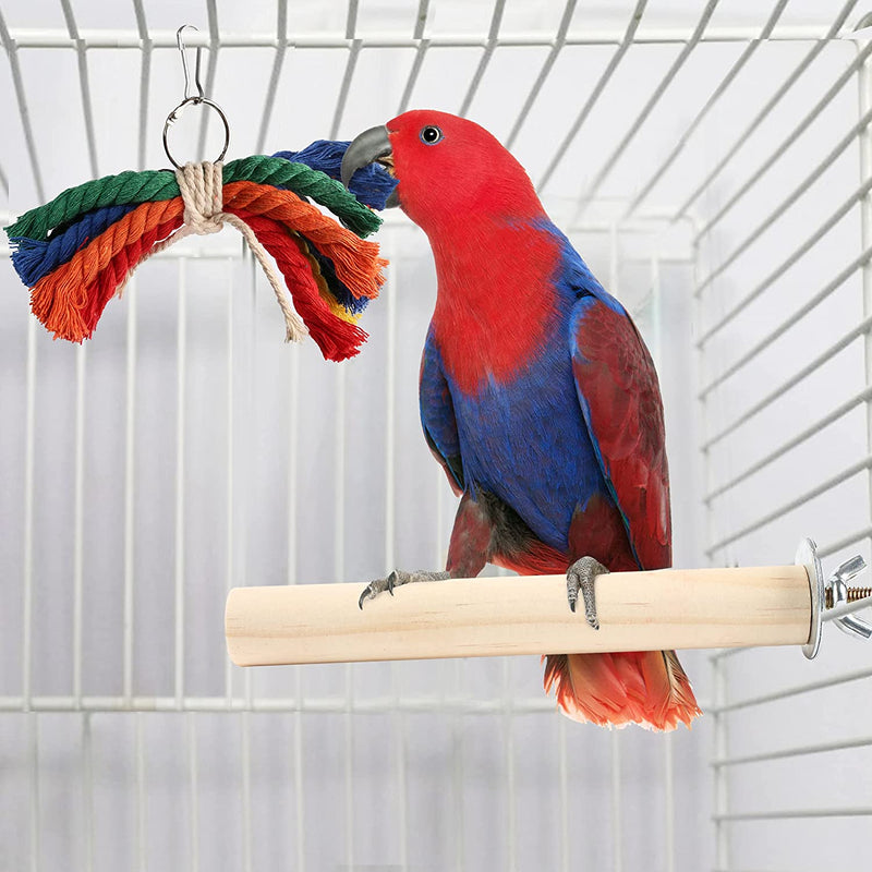 Primepets Bird Parakeet Toys, Bird Cage Swing Toys, 13 Pack, Colorful Hanging Bell Hammock Climbing Ladder Toys for Cockatiel, Conure, Finches, Mynah, Love Birds Animals & Pet Supplies > Pet Supplies > Bird Supplies > Bird Toys PrimePets   