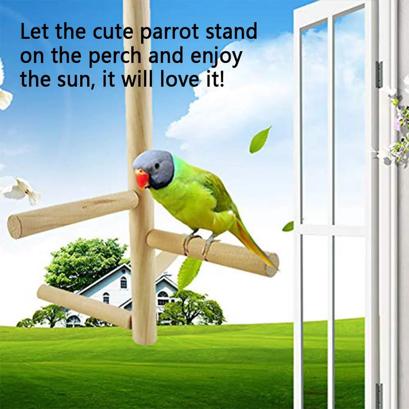 Parakeet Perch,Bird Natural Wood Stand,Parrot Cage Top Wooden Branches for Standing,Toys for Small Medium Parrots Conure Budgie Lovebirds Animals & Pet Supplies > Pet Supplies > Bird Supplies Hamiledyi   