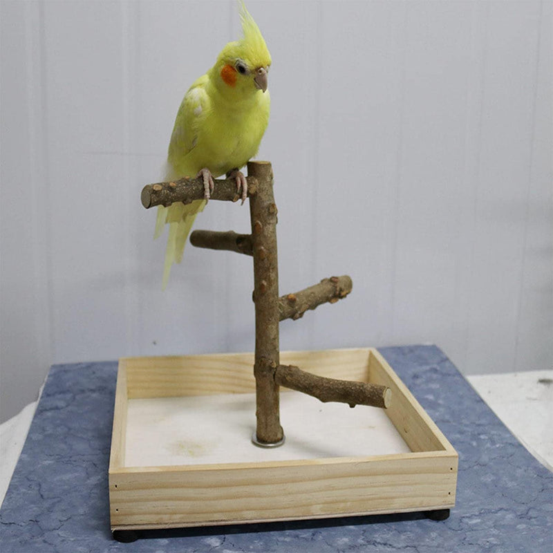 UGPLM 2Pcs Parakeets Parrot Bird Perch Stand Animals & Pet Supplies > Pet Supplies > Bird Supplies UGPLM   