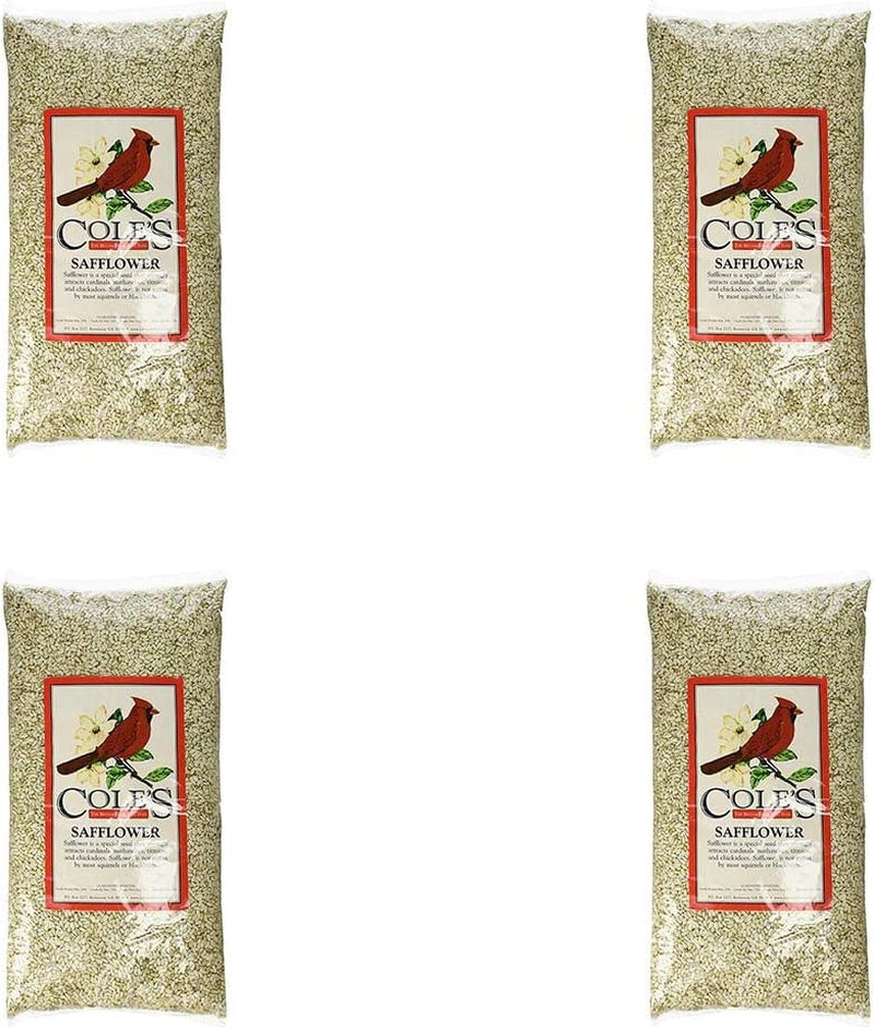Cole'S SA05 Safflower Bird Seed, 5-Pound Animals & Pet Supplies > Pet Supplies > Bird Supplies > Bird Food Cole's Wild Bird Products Four Pack  