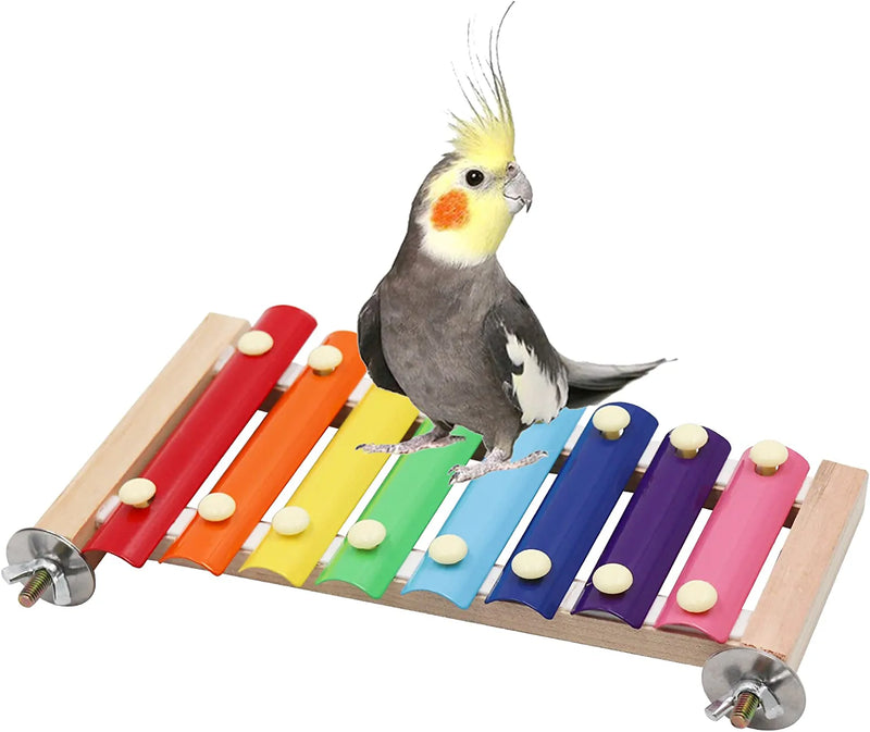 Colorful Bird Xylophone Toy, Suspensible Funny Xylophone Toy with 8 Metal Keys, Bird Cage Toy Accessories for Chicken Bird Parrot Parrot Parakeet Budgies Love Birds Animals & Pet Supplies > Pet Supplies > Bird Supplies > Bird Toys Dnoifne Size B  
