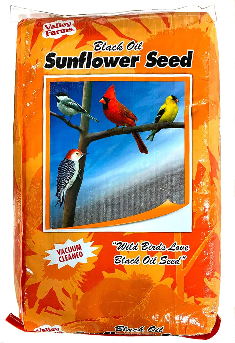 Valley Farms Black Oil Sunflower Seed - Wild Bird Food - Favorite Food of Many Songbirds (25 LBS) Animals & Pet Supplies > Pet Supplies > Bird Supplies > Bird Food Truffa Seed Co., Inc. 25 Pound (Pack of 1)  