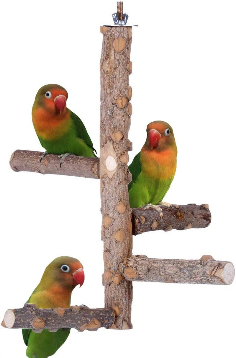 Bird Perch Nature Wood Stand for 3-4Pcs Small Medium Parrots (S) Animals & Pet Supplies > Pet Supplies > Bird Supplies Harvestkey S  