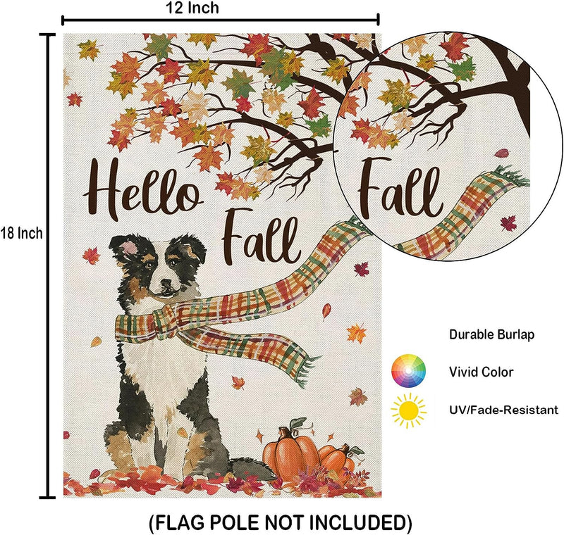 Hello Fall Garden Flags 12X18 Inch Double Sided, Seasonal Dog with Maple Leaves Pumpkins Scarf Small Yard outside Decorations, Harvest Autumn Thanksgiving Farmhouse Holiday Outdoor Décor  EKOREST   